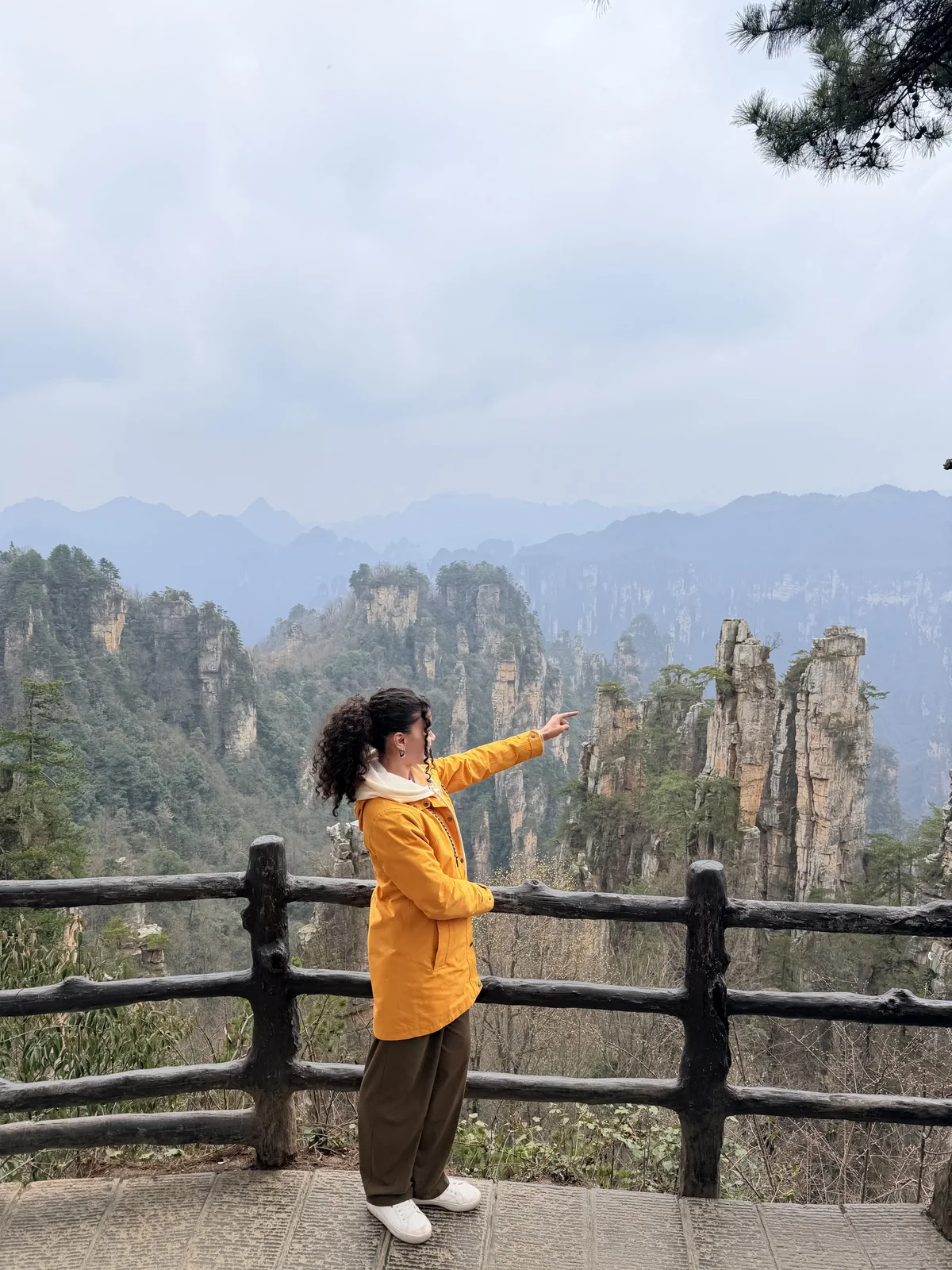 A traveler looking out across mountain peaks from a wooden railing